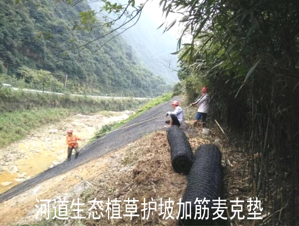 河道植草護(hù)坡加筋麥克墊