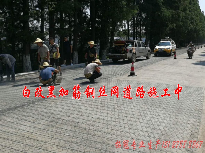 鎮(zhèn)海公路路面加筋網(wǎng)_conew2.jpg